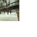 CMR04_ps2_final_icons_fin_s2.png