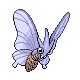 PokeDP_Development_Shiny_BattleSprite_Jul04_Front_M49.png
