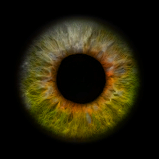 end_eye.vtf features an eye, it is unknown if the eye was taken from a model. end_eye.vtf features an eye, it is unknown if the eye was taken from a model.