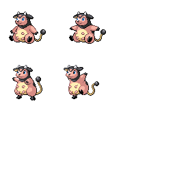 pmgs_241_frnt_m_r12837.png