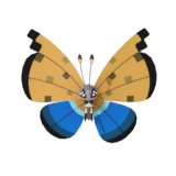 NPS_p034-GA.png