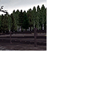CMR04_ps2_demo_icons_fin_s6.png