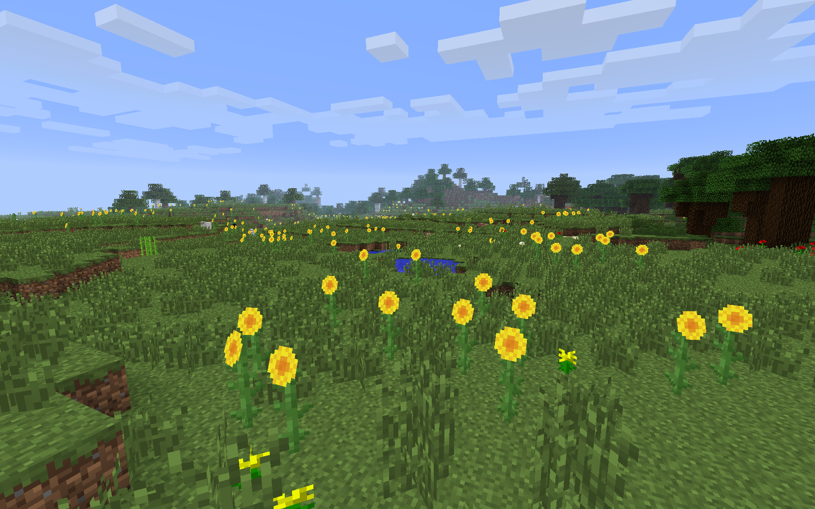 A screenshot of a sunflower plains biome in 13w36a. A screenshot of a sunflower plains biome in 13w36a.