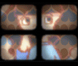 pnm10PS2-mzdmellowM_(1).png pnm10PS2-mzdmellowM_(1).png
