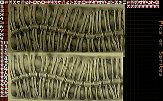 DevDoom1993-spine2_lbm.png
