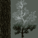 TFA2004_greenlandLevel_PINE004.png