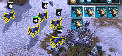 The proof that each of them are individual units, not just 5 copies of the same dog.