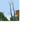 CMR04_ps2_final_icons_aus_s3.png