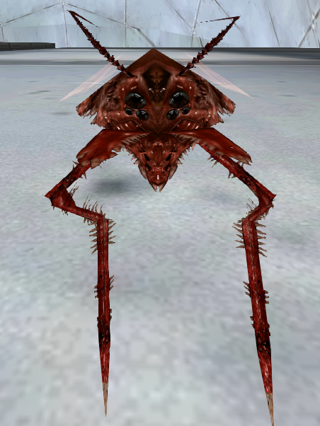 Front view. Front view.