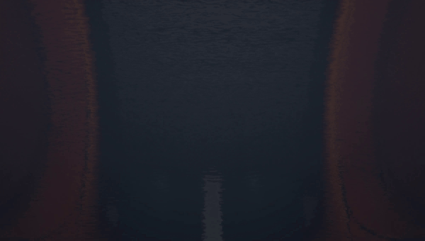 SST_z155.avi_PelleratorUnusedShaking.gif SST_z155.avi_PelleratorUnusedShaking.gif