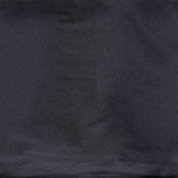 Leg