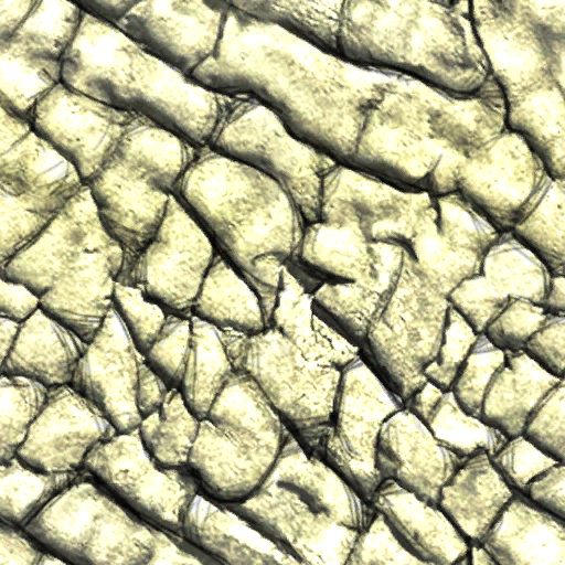 Lbp3_r513946_bu_elephant_skin02_diff.tex.png