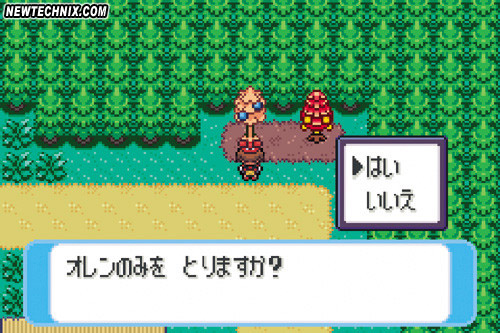 PKMNRS-Early_Oran_Berry_Tree_Comp.jpg