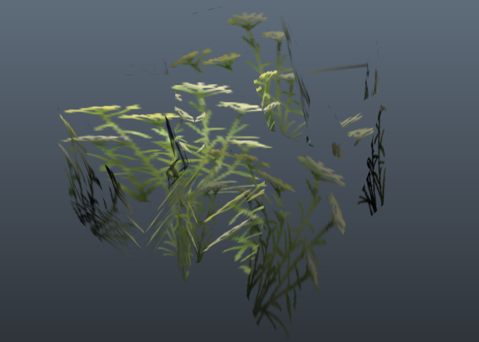 grass4_1 (grass3_4)