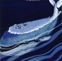 "Riding a Whale", a callback to the whale encountered in Kirby's Dream Land and most likely meant for one of Aqua Star's levels. The only thing Kirby rides on the planet is a raft in the second level. "Riding a Whale", a callback to the whale encountered in Kirby's Dream Land and most likely meant for one of Aqua Star's levels. The only thing Kirby rides on the planet is a raft in the second level.