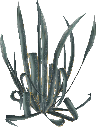 CSS_succulant.mdl.png