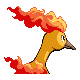 PokeDP_Development_BattleSprite_Jun27_Back_M146.png PokeDP_Development_BattleSprite_Jun27_Back_M146.png