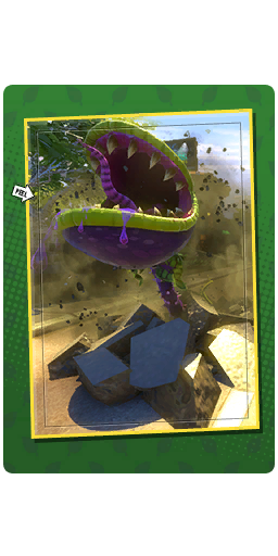 Burrow