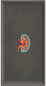 SPL3_Fig_MsnFindObj09.png