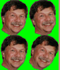 RRIPPC_331.png