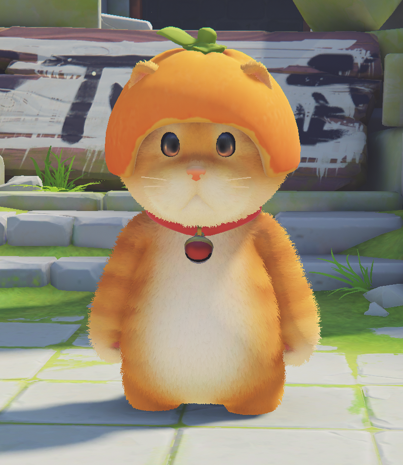 PA_machi_orange.png