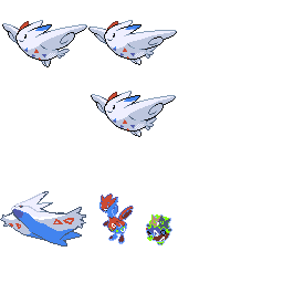 pmpl_495_frnt_m_r802.png pmpl_495_frnt_m_r802.png
