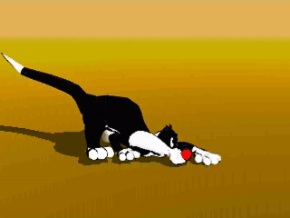 sylvester_crawl.avi