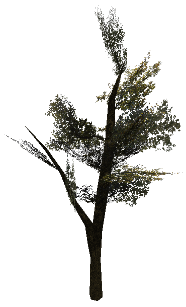 tree_brownv01.mdl tree_brownv01.mdl