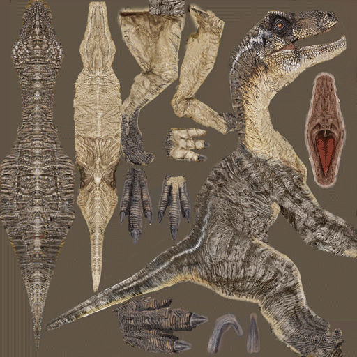 This raptor skin looks similar to the skin used for the Young and Hatchling Velociraptors. However, it's slightly darker. Funny thing is, it's the red skin but it's not really red at all. A skin similar to this can be seen applied to the playable raptor in a screenshot that comes in the game's help file. It seems the model was changed to a female raptor's though as the one depicted in the image was a male with a different model than the final's. Interestingly, the playable raptor's skin is reddish brown. It is possible the developers swapped skins at some point in development. This raptor skin looks similar to the skin used for the Young and Hatchling Velociraptors. However, it's slightly darker. Funny thing is, it's the red skin but it's not really red at all. A skin similar to this can be seen applied to the playable raptor in a screenshot that comes in the game's help file. It seems the model was changed to a female raptor's though as the one depicted in the image was a male with a different model than the final's. Interestingly, the playable raptor's skin is reddish brown. It is possible the developers swapped skins at some point in development.