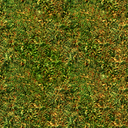 CSCZ-grass2_1.png CSCZ-grass2_1.png
