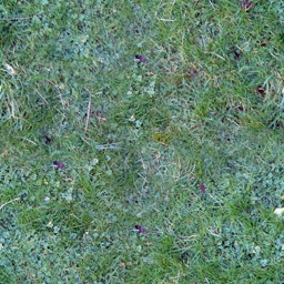grass_diffuse