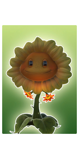 Fire Flower Organics