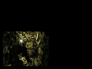 Biohazard_JillCreditsSample1.png