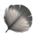 jw_feather_03 jw_feather_03