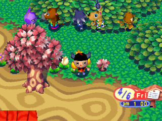 Animalforest_fieldcourse1.png
