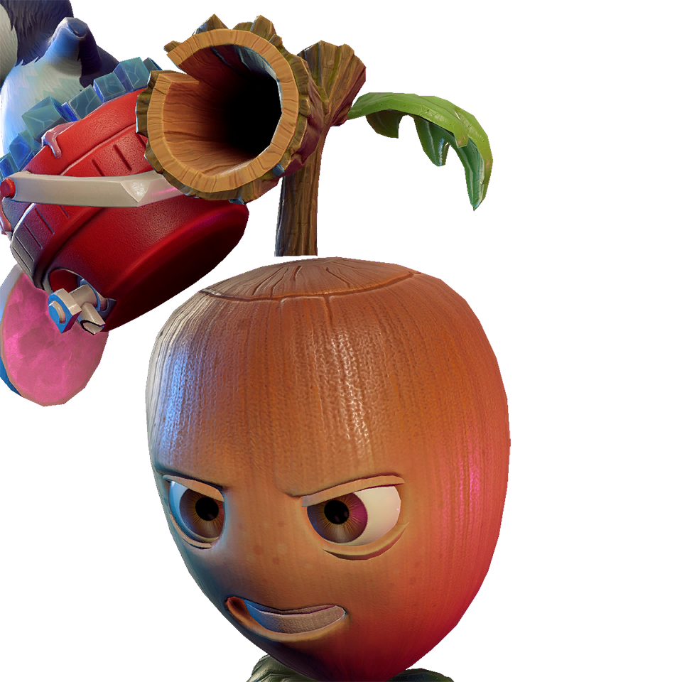 Acorn