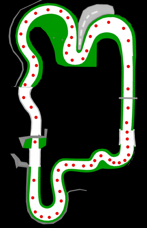 MKWii_old_mario_gc_yabuki_CPU_points.png