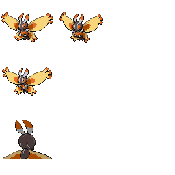 pmpl_456_frnt_m_r802.png pmpl_456_frnt_m_r802.png