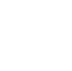 MSSToyFieldIntroAnimtionLogo2.png MSSToyFieldIntroAnimtionLogo2.png