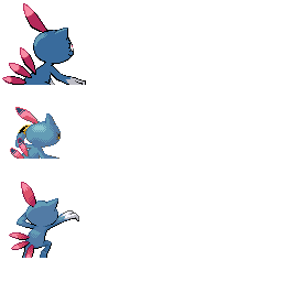 pmpl_215_back_m_r802.png pmpl_215_back_m_r802.png