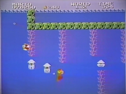SMBLL-video_screen_5.png SMBLL-video_screen_5.png