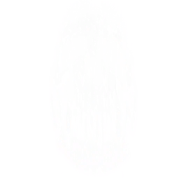 Bayonetta_r001_eff4.png
