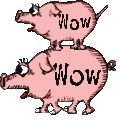 GF5DM4-jetworldSTWpig2.png GF5DM4-jetworldSTWpig2.png