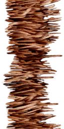 Lbp2Move_doormat_hair.tex.png
