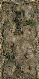 DungeonSiege2-b_t_for01_wal_04x08-a.png DungeonSiege2-b_t_for01_wal_04x08-a.png