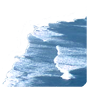 TSLS_NeighborhoodCust_Waves.png