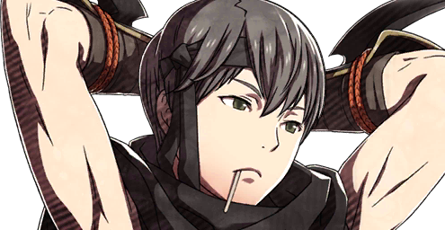 FEF-gaiuscrit1.png