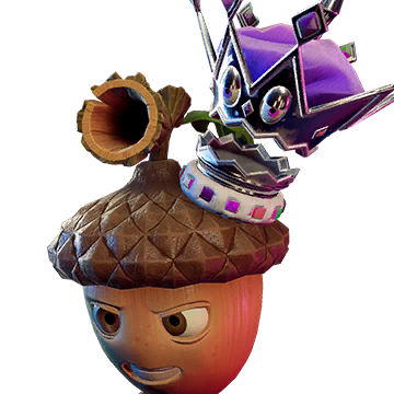 Acorn