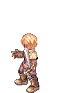 RO-unused-hairanimation-swordsman-m-attacking2.gif