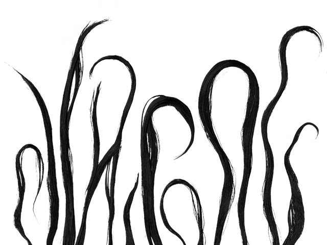 Phase 1 Phase 1